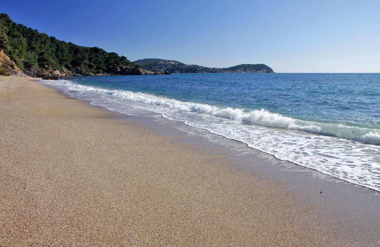 Magnifique Petit Cocon Bord De Mer Le Pradet Exterior photo
