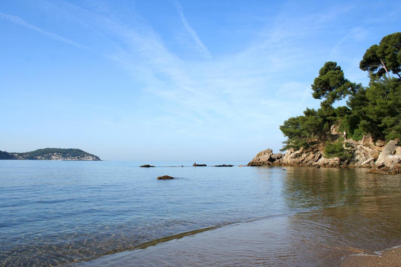 Magnifique Petit Cocon Bord De Mer Le Pradet Exterior photo